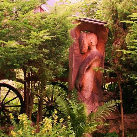 Romanticka Drevenica *