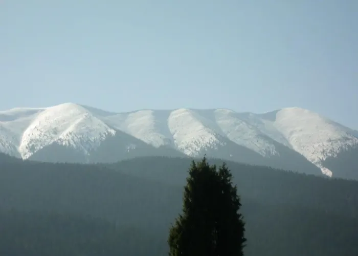 Dovolenkový dom Romanticka Drevenica *